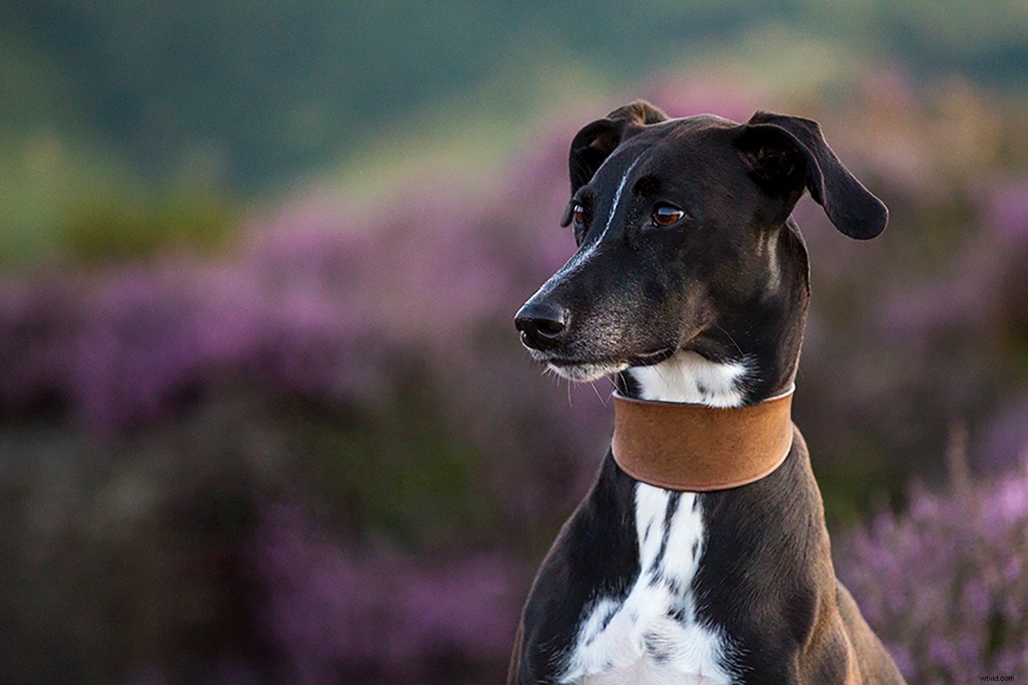 The True Impact of Taking a Break from Photography: What Happens Next