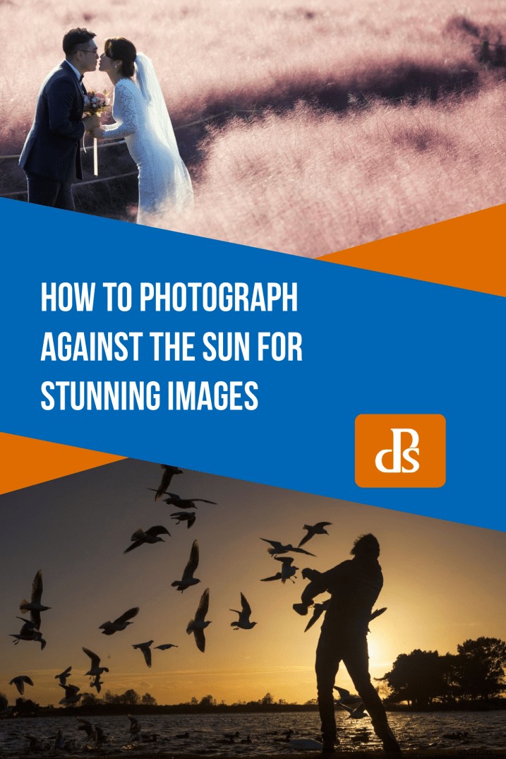 Master Backlighting: How to Shoot Against the Sun for Stunning Photos