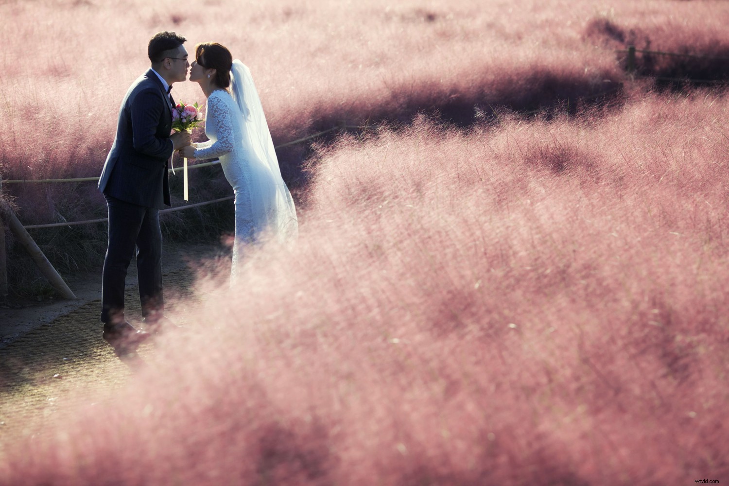 Master Backlighting: How to Shoot Against the Sun for Stunning Photos