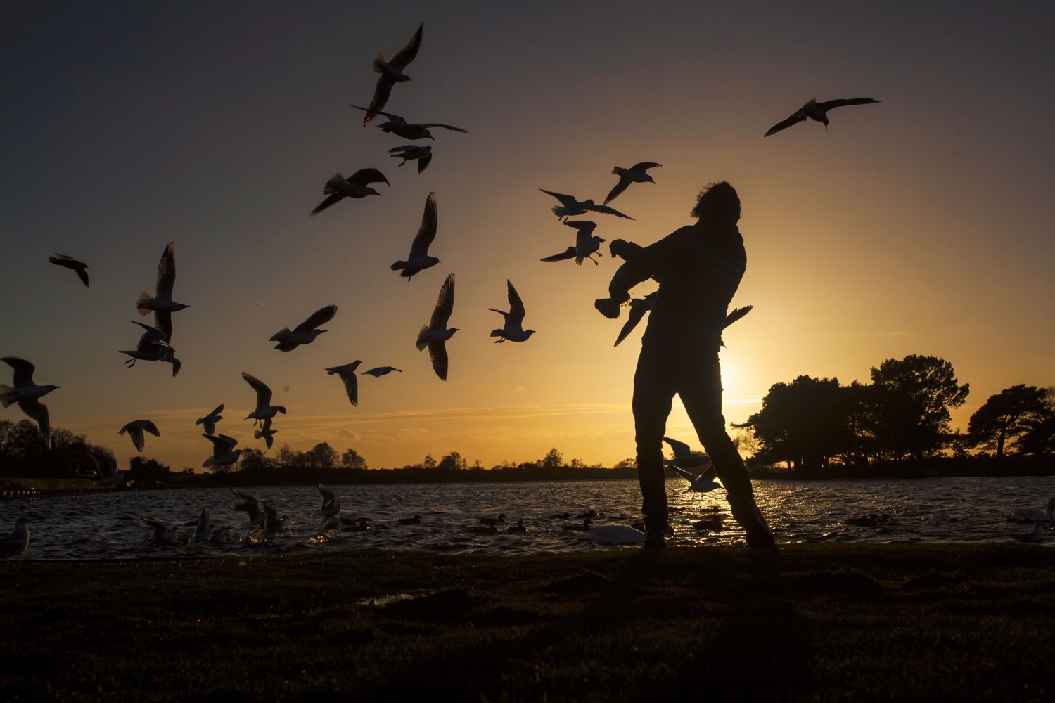 Master Backlighting: How to Shoot Against the Sun for Stunning Photos