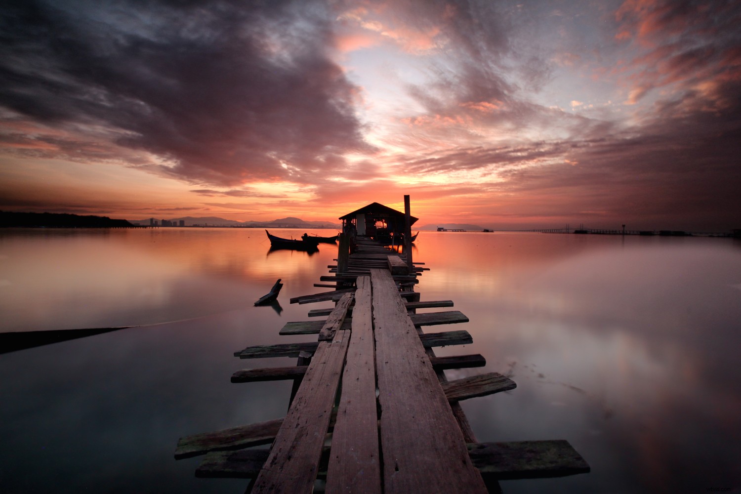 Master Backlighting: How to Shoot Against the Sun for Stunning Photos