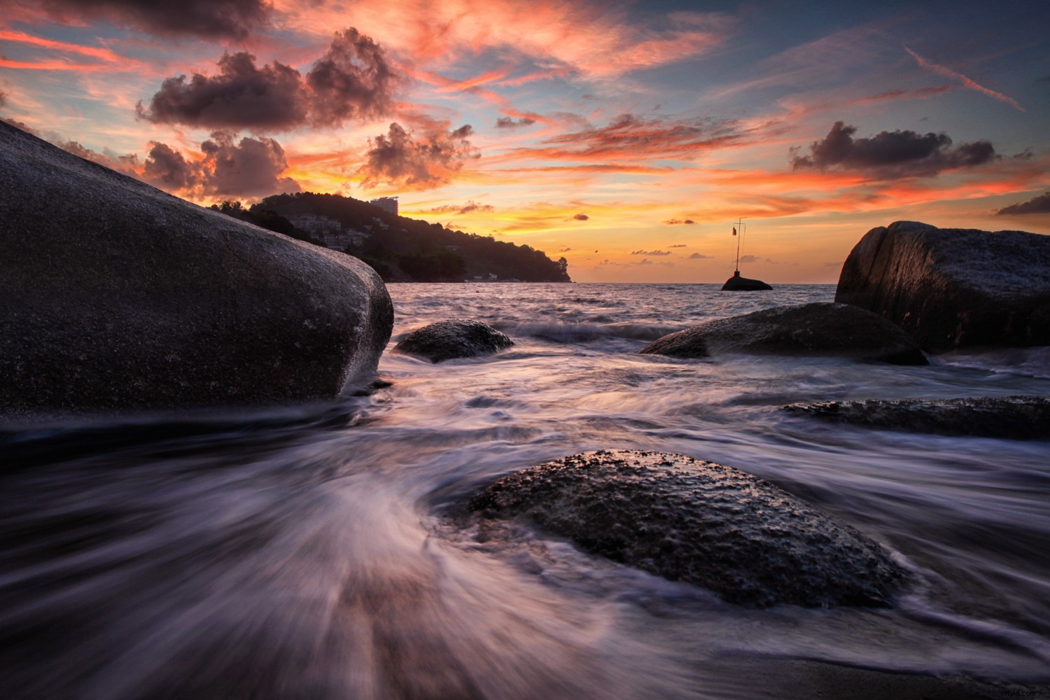 Master Backlighting: How to Shoot Against the Sun for Stunning Photos