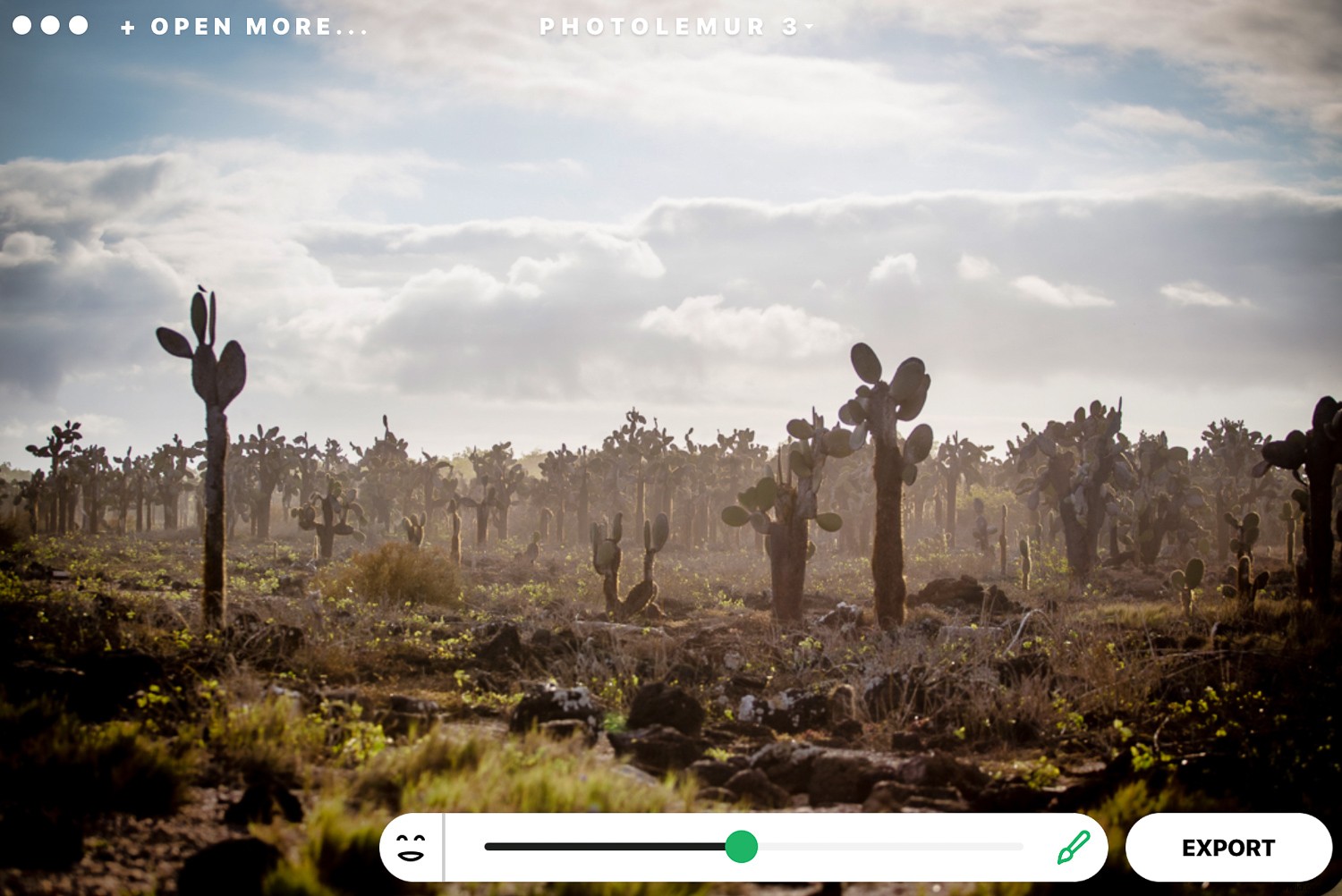 Photolemur 3 Review: AI-Powered Photo Enhancer for Effortless Professional Edits