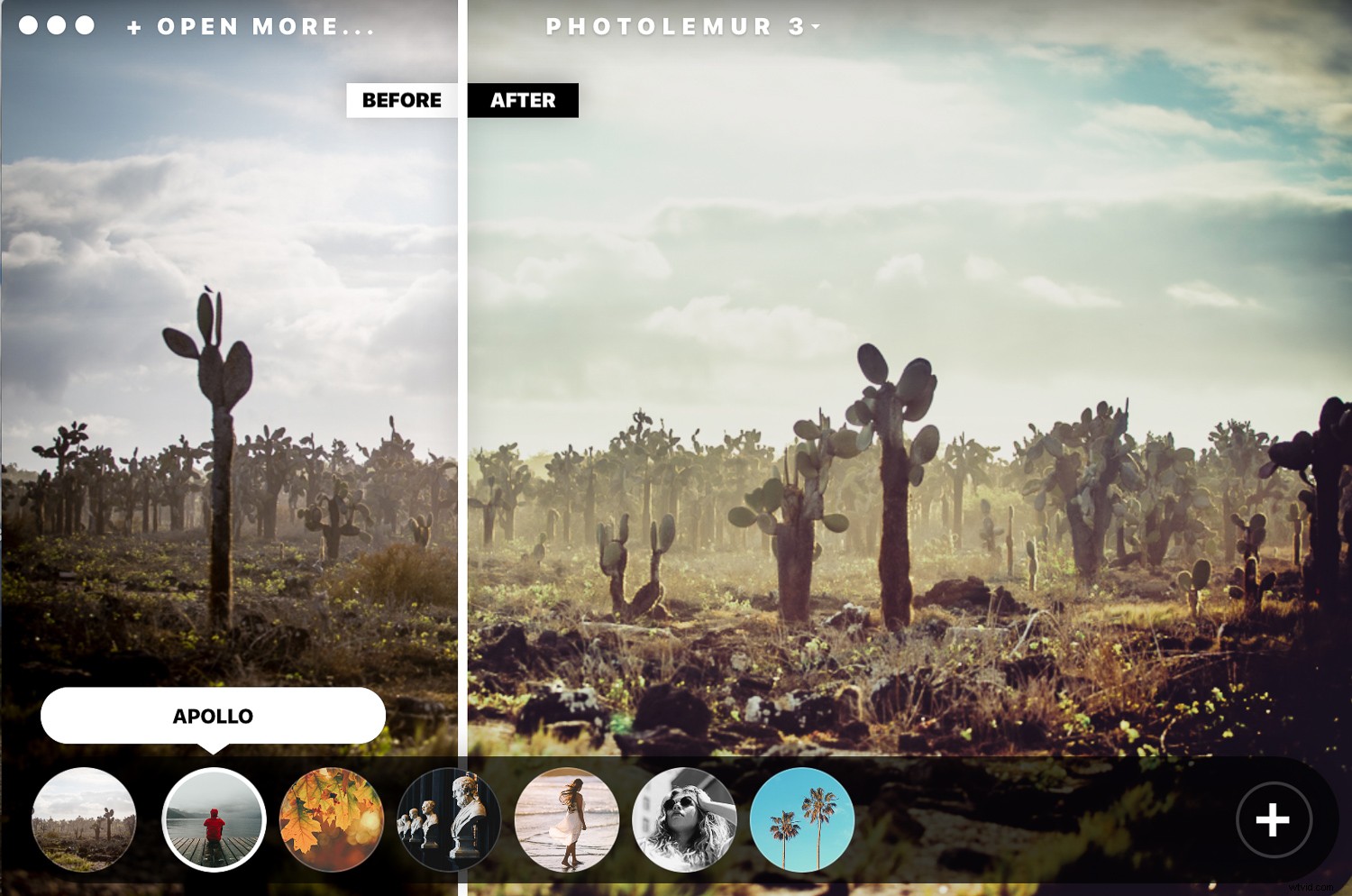 Photolemur 3 Review: AI-Powered Photo Enhancer for Effortless Professional Edits