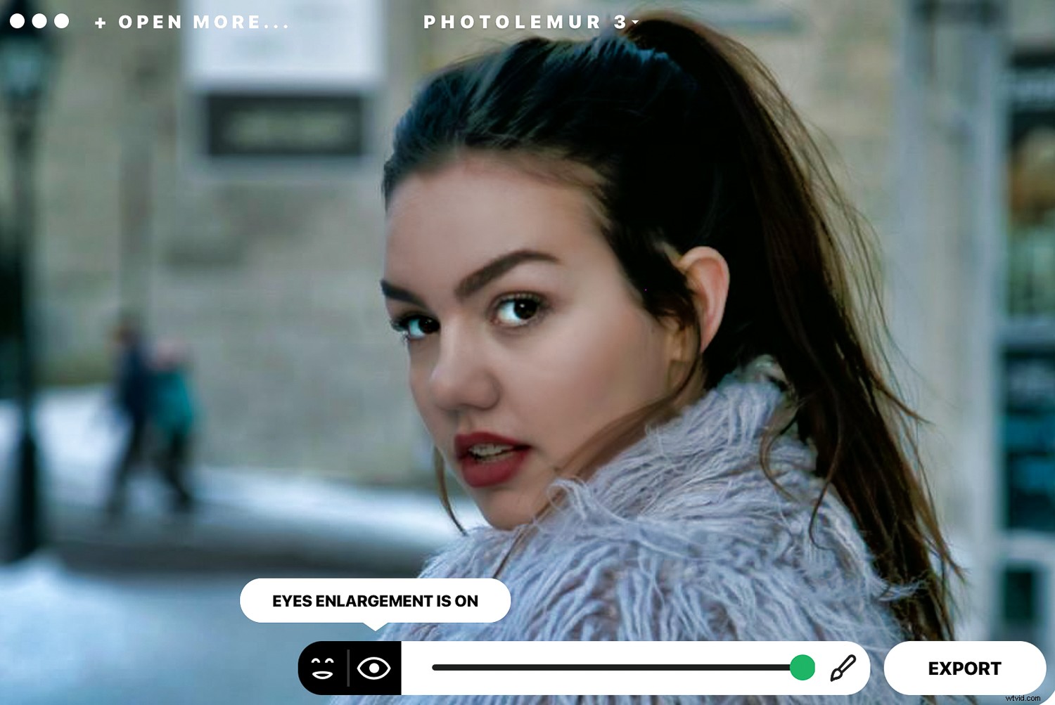 Photolemur 3 Review: AI-Powered Photo Enhancer for Effortless Professional Edits