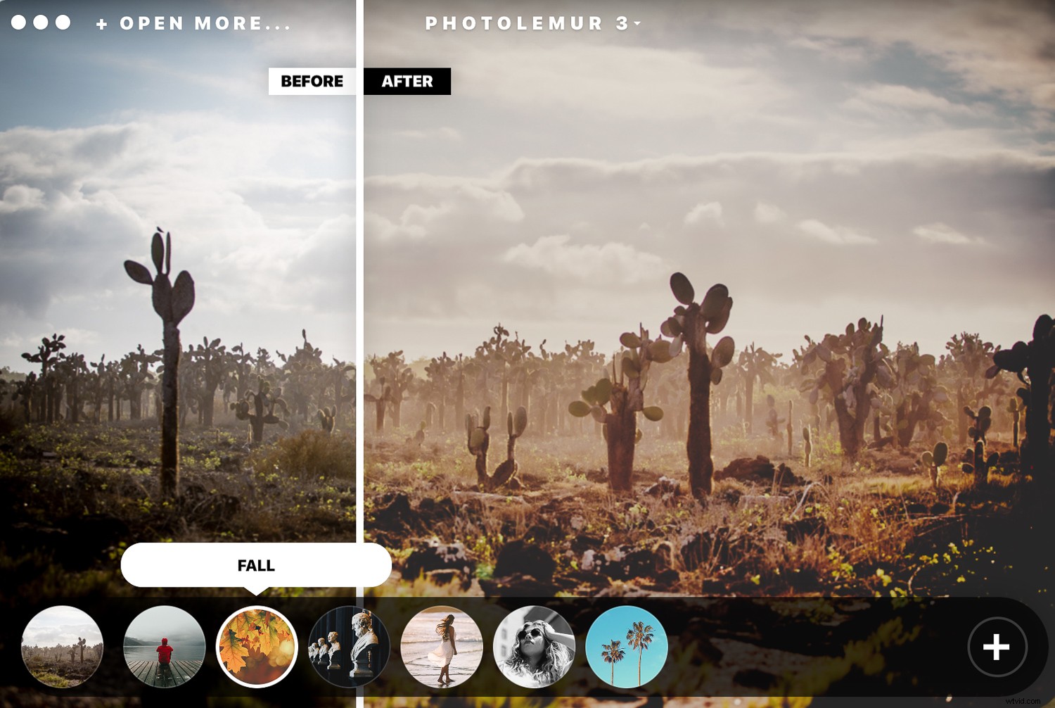 Photolemur 3 Review: AI-Powered Photo Enhancer for Effortless Professional Edits