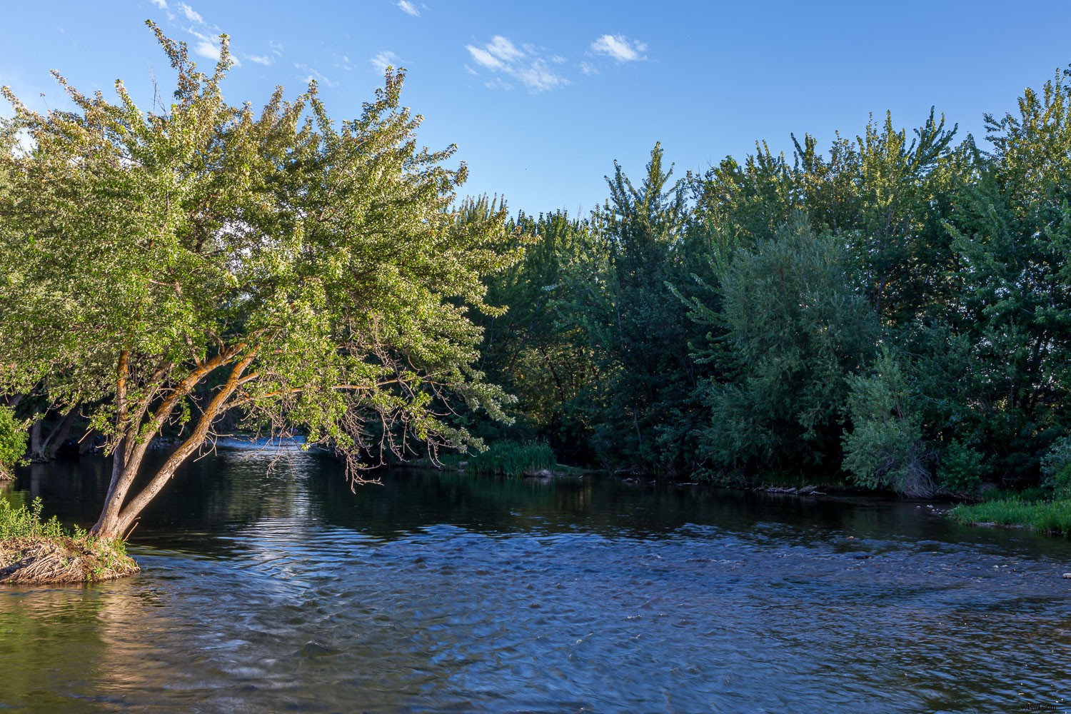 Achieve Stunning Long Exposure Effects with Stacked Image Averaging