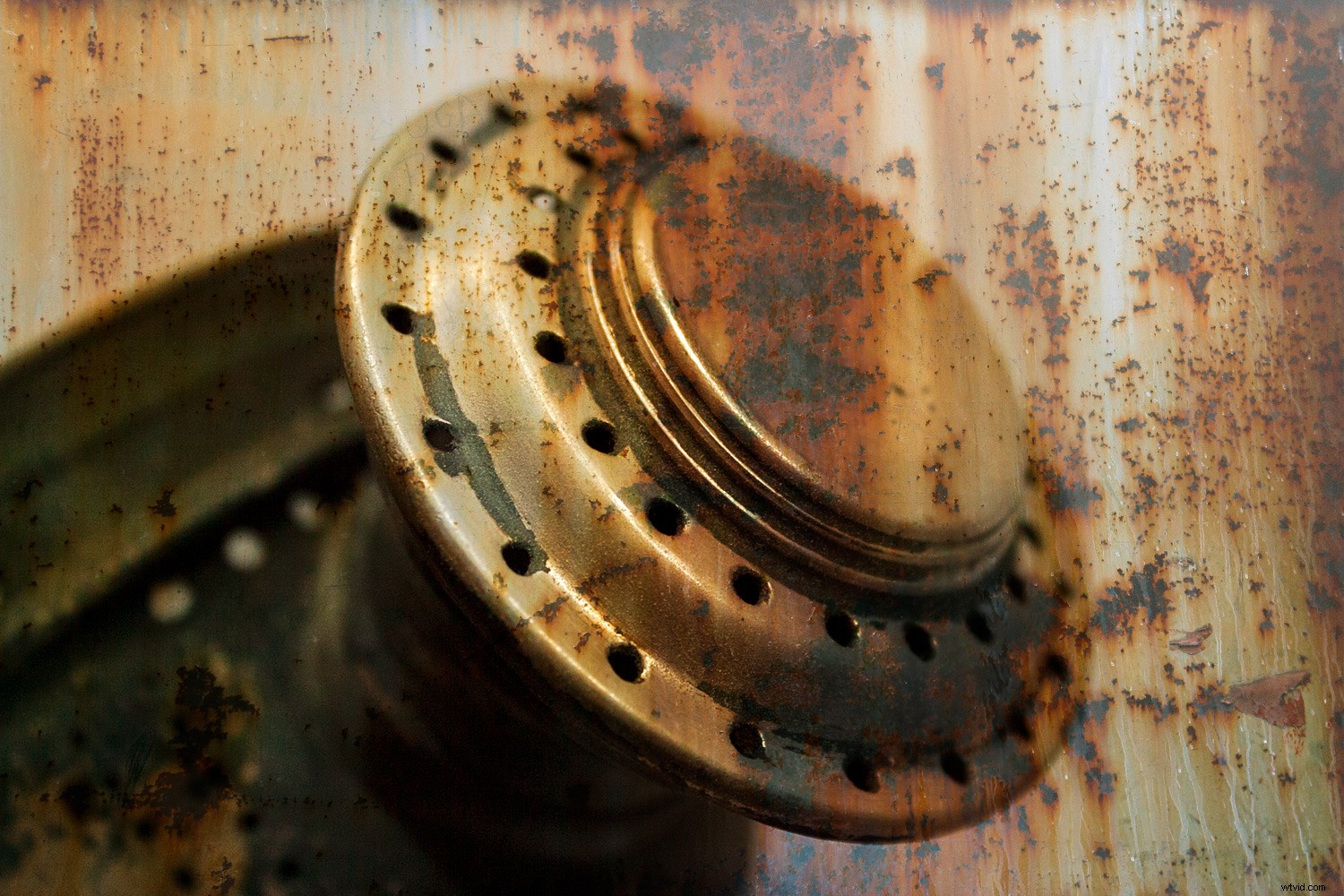 Weekly Photography Challenge: Master the Art of Texture