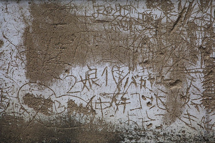 Weekly Photography Challenge: Master the Art of Texture