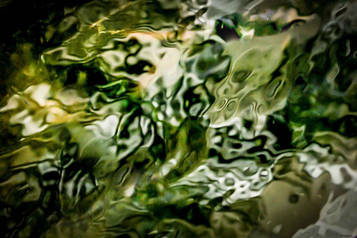 Weekly Photography Challenge: Master the Art of Texture