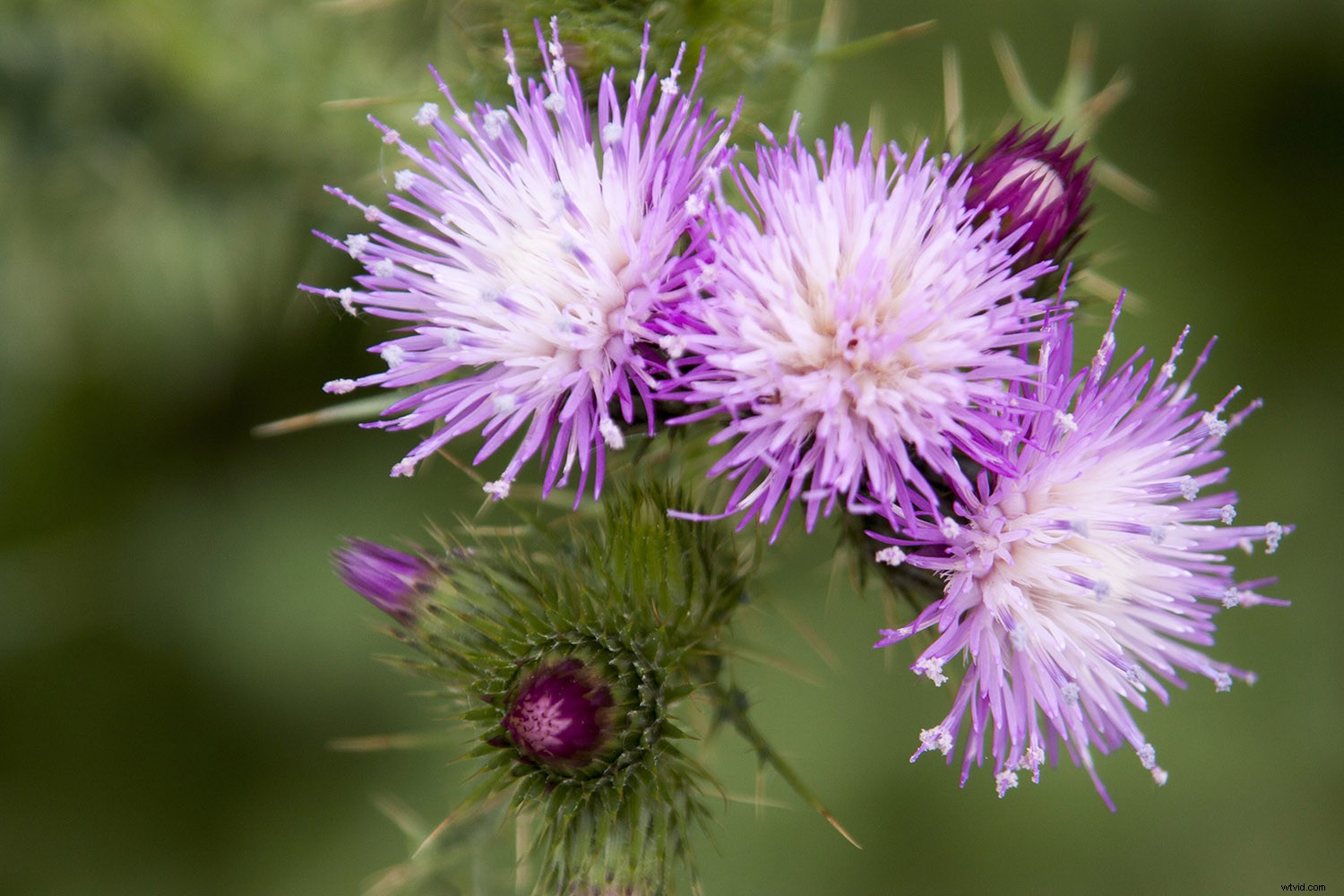 Essential Do s and Don ts for Building a Winning Photography Portfolio