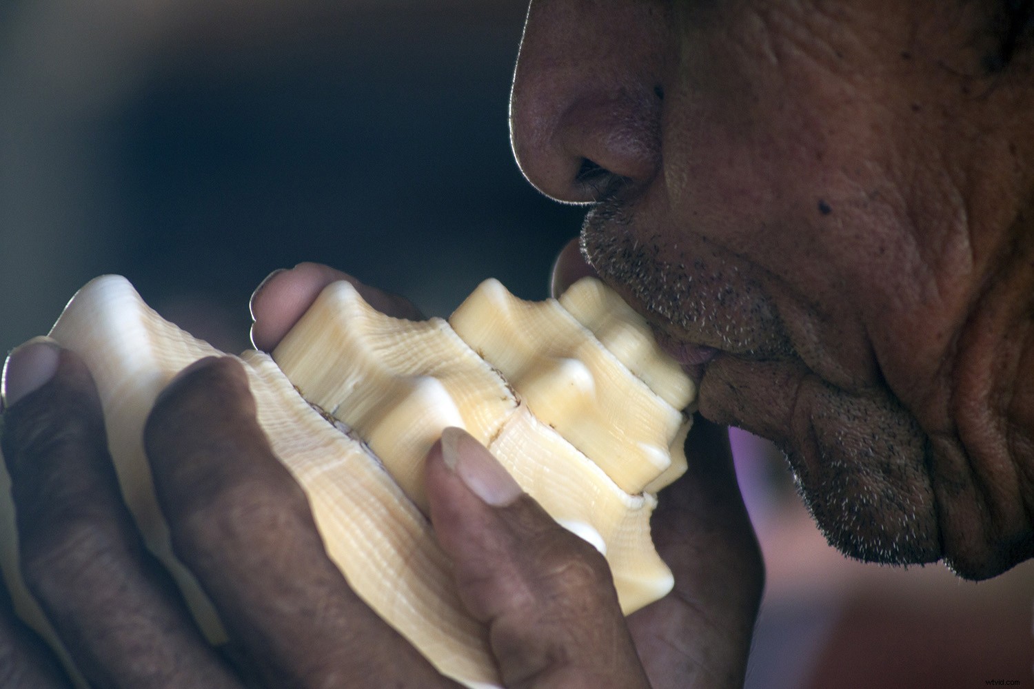 Essential Do s and Don ts for Building a Winning Photography Portfolio