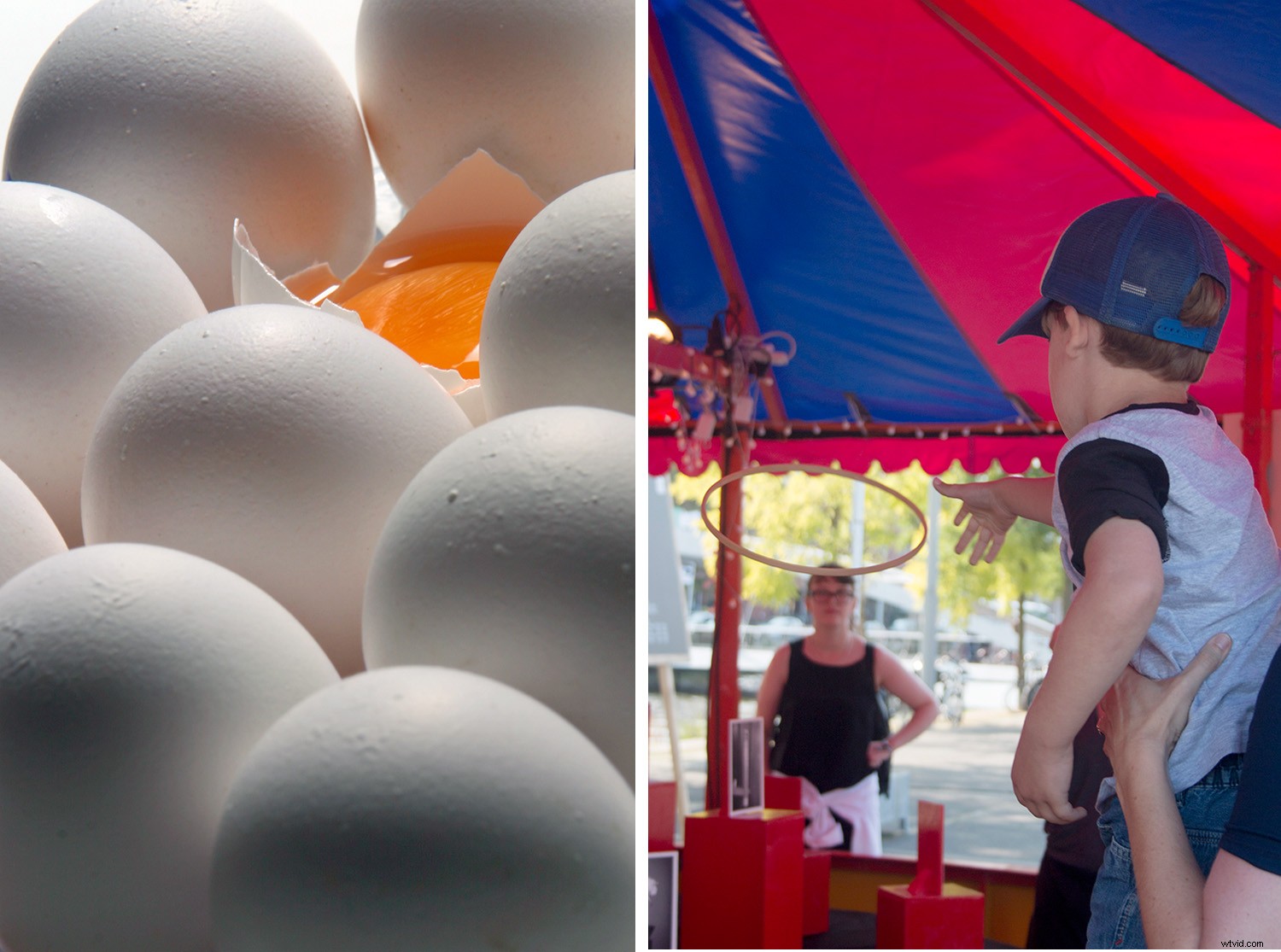 Essential Do s and Don ts for Building a Winning Photography Portfolio