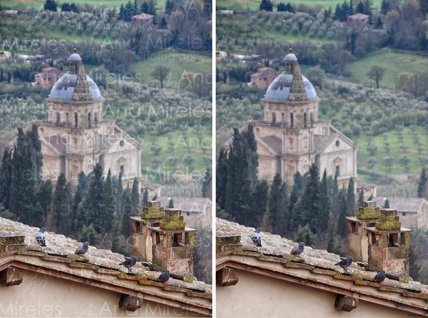 Essential Do s and Don ts for Building a Winning Photography Portfolio