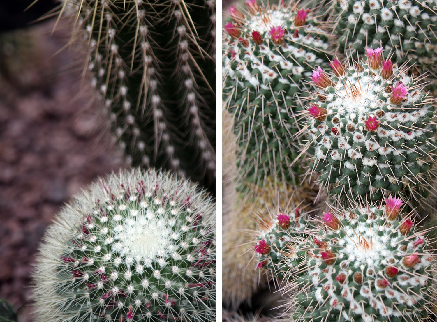 Essential Do s and Don ts for Building a Winning Photography Portfolio