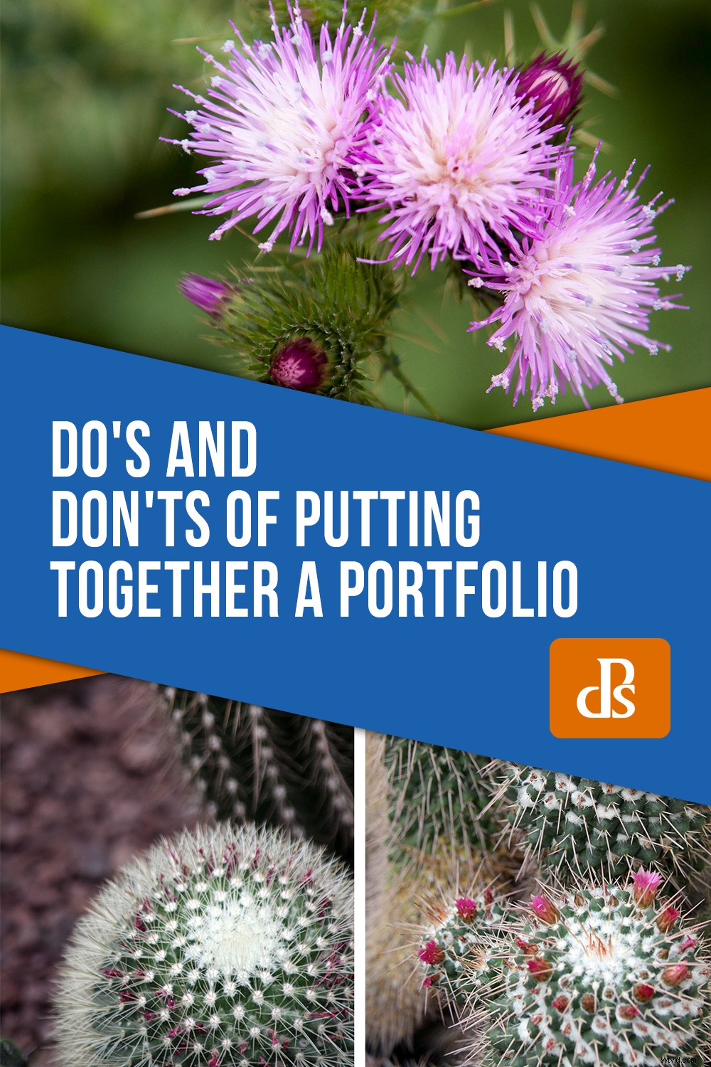 Essential Do s and Don ts for Building a Winning Photography Portfolio