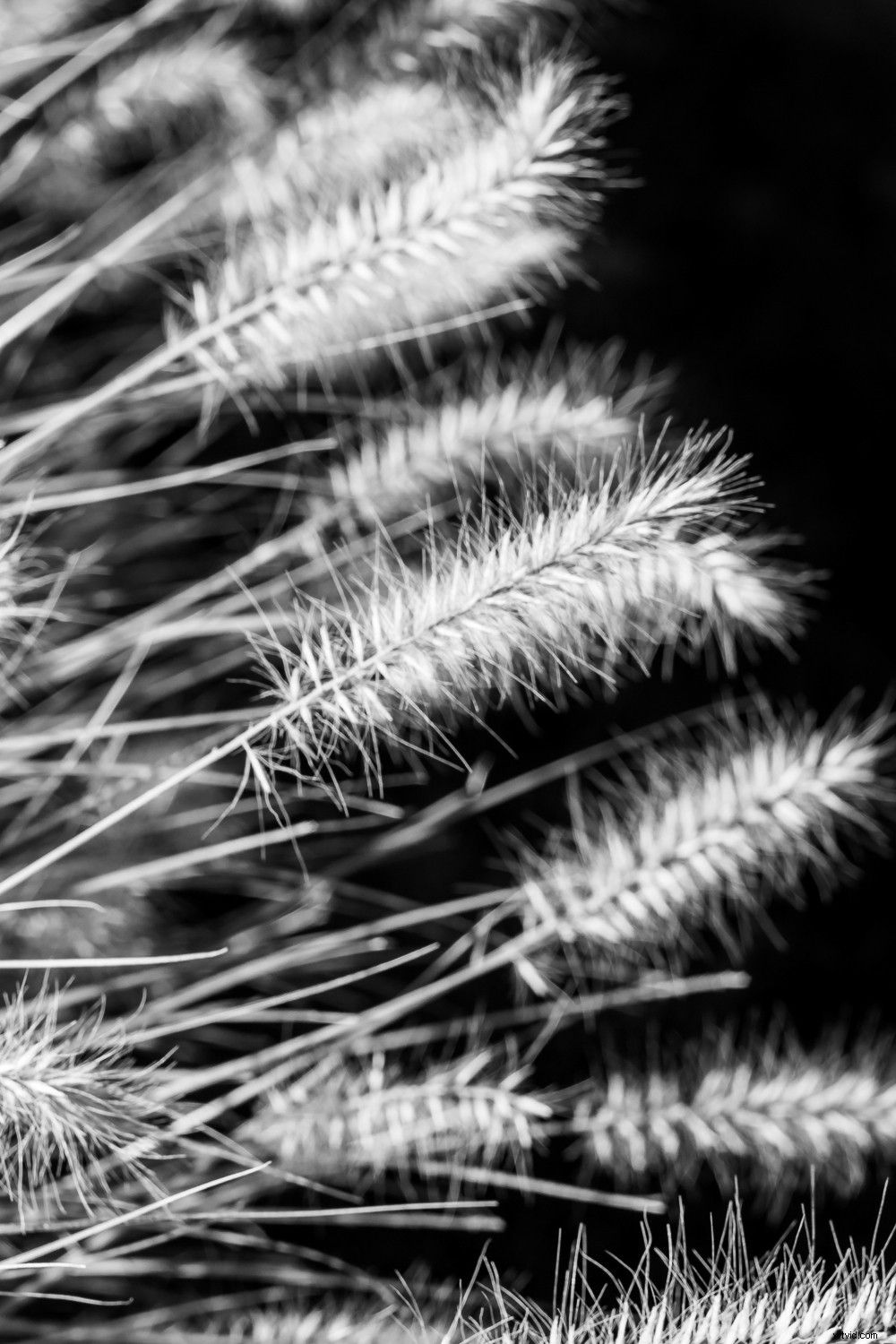 Elevate Your Photography: A Simple Back-to-Basics Exercise for Better Shots