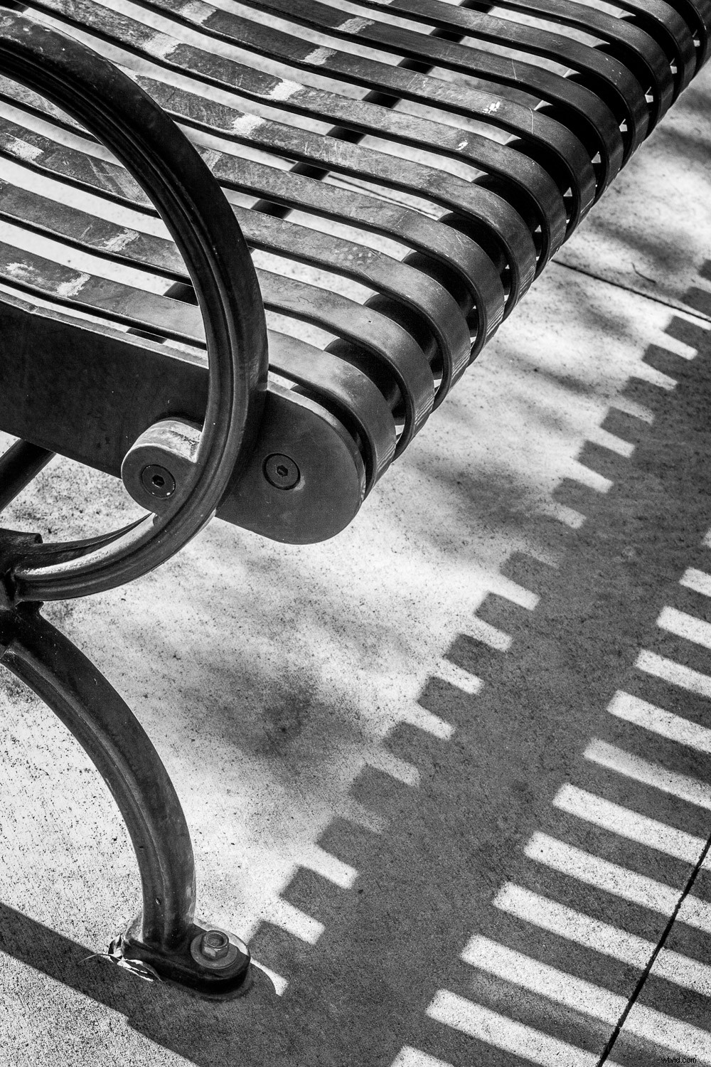 Elevate Your Photography: A Simple Back-to-Basics Exercise for Better Shots