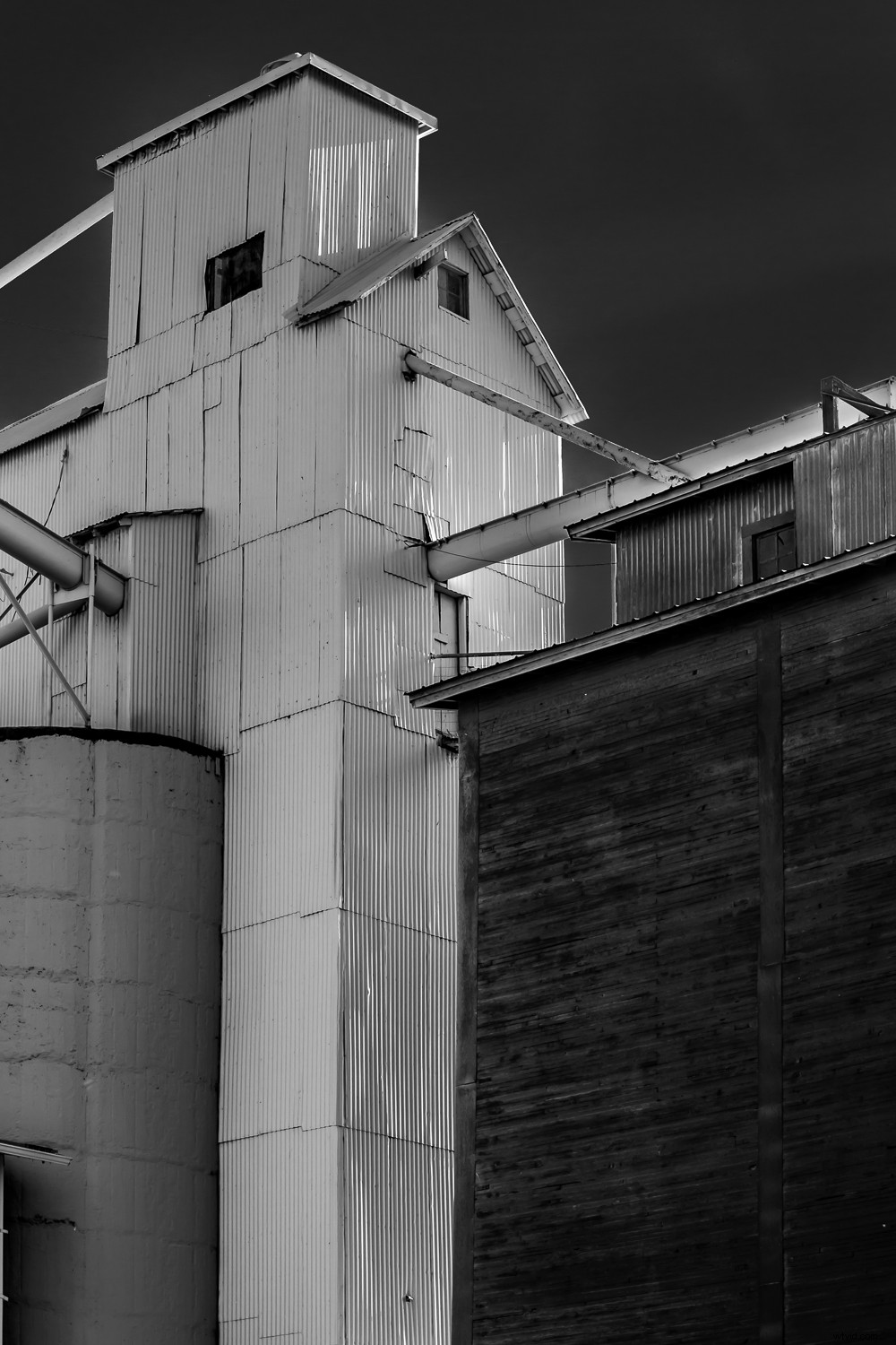 Elevate Your Photography: A Simple Back-to-Basics Exercise for Better Shots