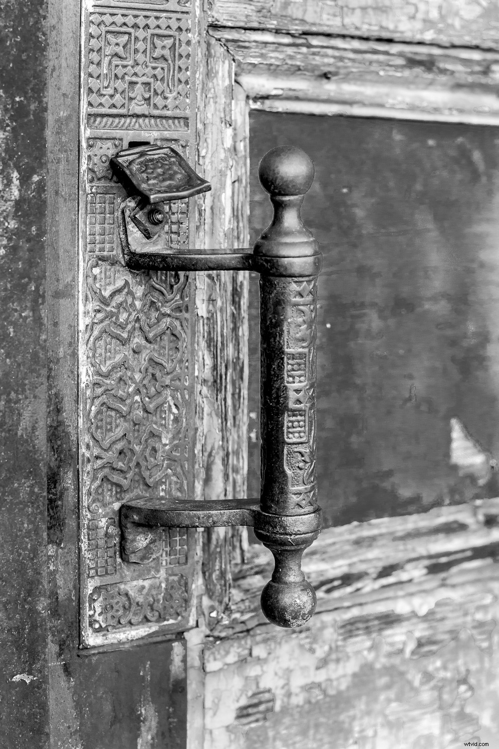 Elevate Your Photography: A Simple Back-to-Basics Exercise for Better Shots