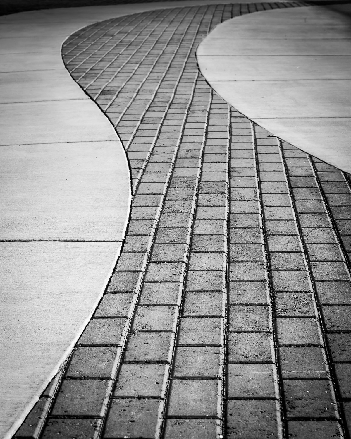 Elevate Your Photography: A Simple Back-to-Basics Exercise for Better Shots