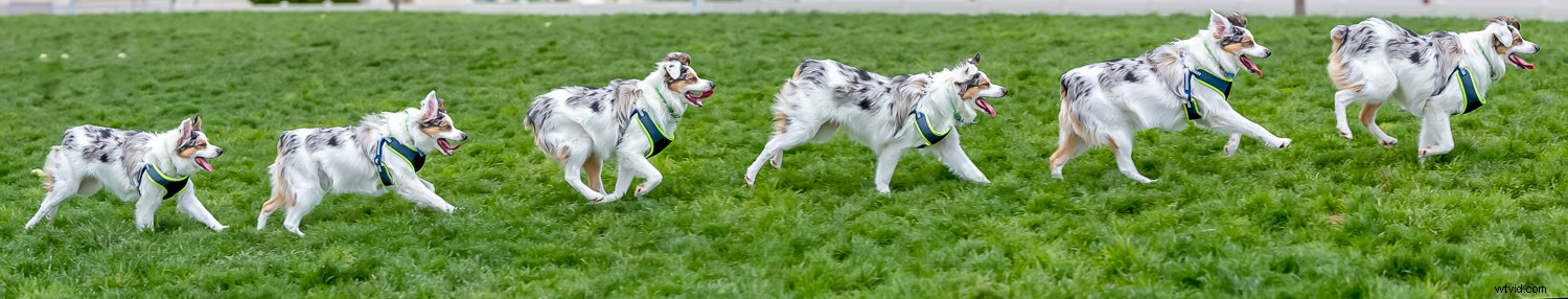 Create Stunning Panoramic Images Effortlessly with Microsoft ICE