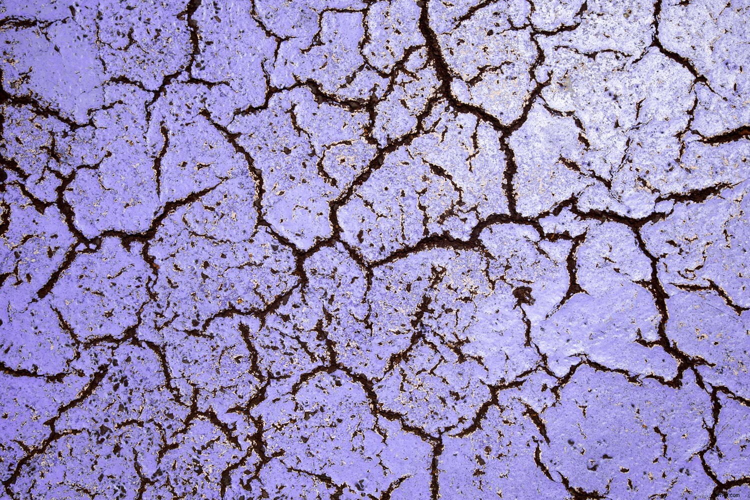 Mastering Colors Series: The Psychology, History, and Power of Purple in Photography