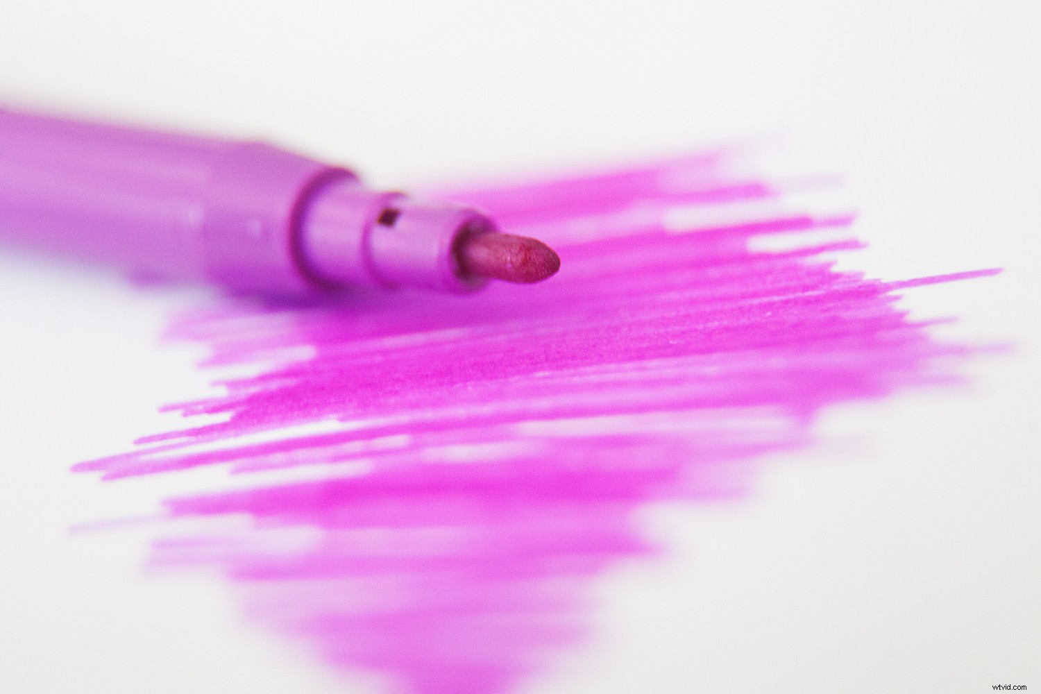 Mastering Colors Series: The Psychology, History, and Power of Purple in Photography