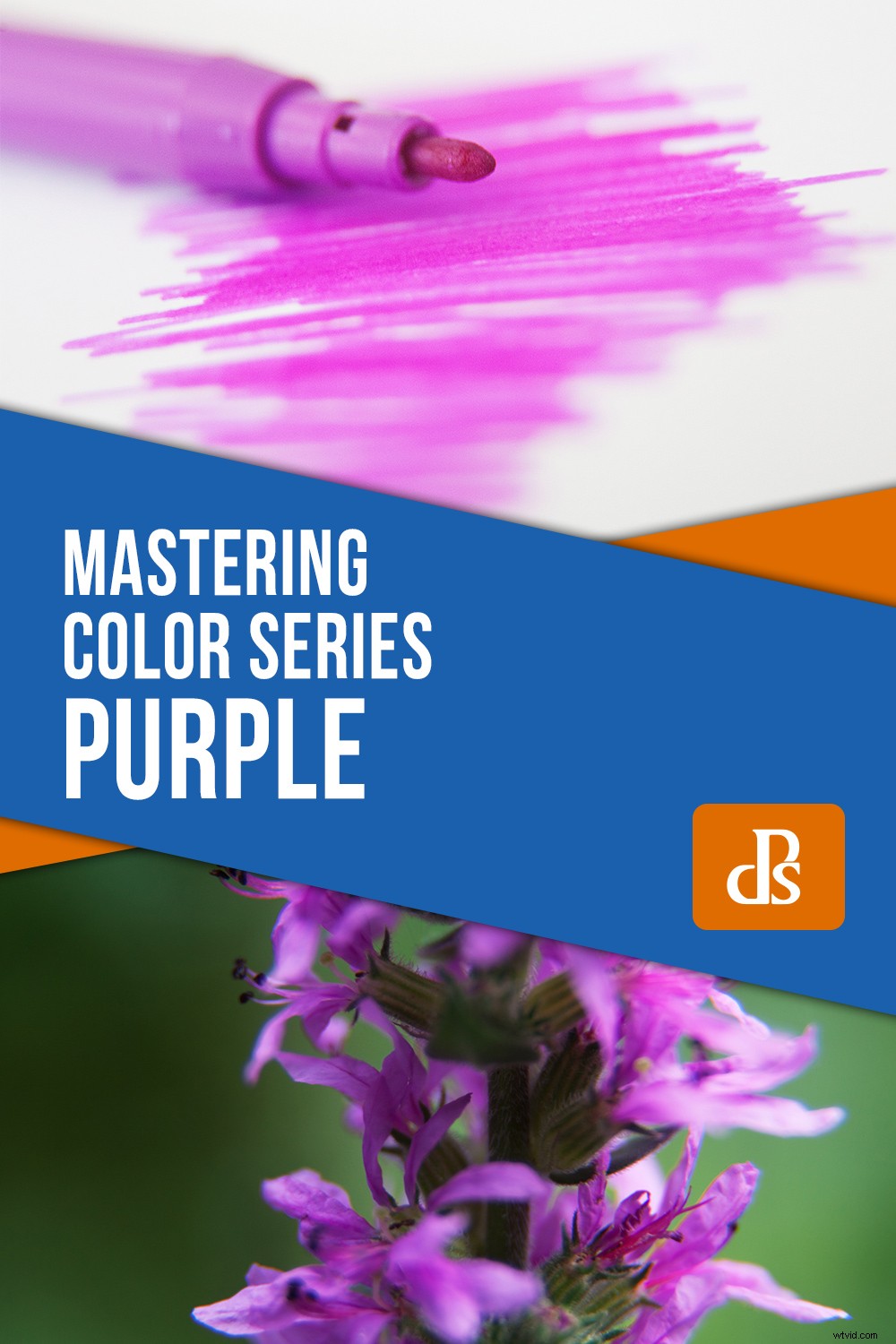 Mastering Colors Series: The Psychology, History, and Power of Purple in Photography