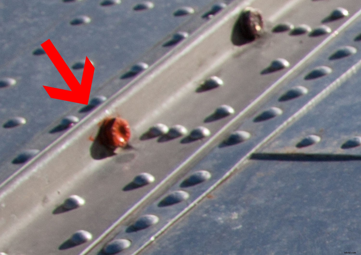 Mastering Colors Series: The Psychology, History, and Power of Purple in Photography