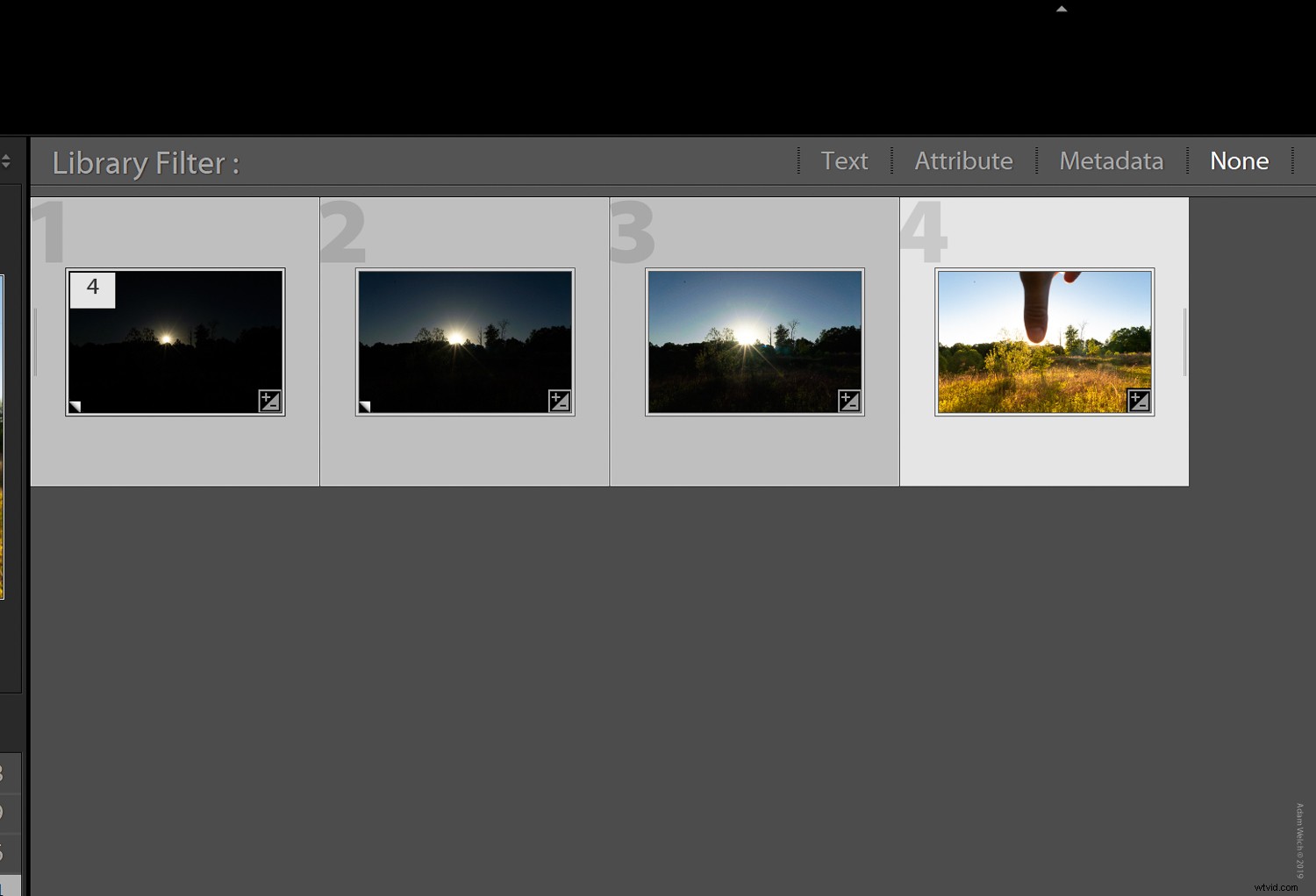 Master Shooting into the Sun: Easy Hack & Pro Image Processing Guide