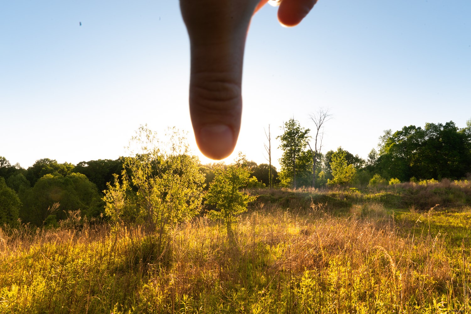 Master Shooting into the Sun: Easy Hack & Pro Image Processing Guide
