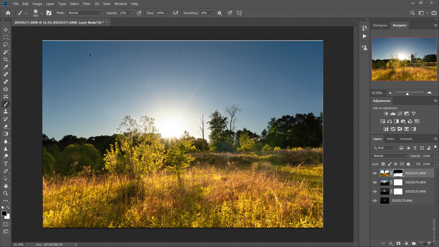 Master Shooting into the Sun: Easy Hack & Pro Image Processing Guide