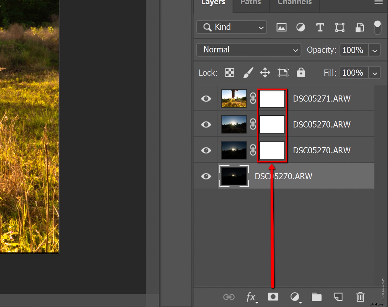 Master Shooting into the Sun: Easy Hack & Pro Image Processing Guide