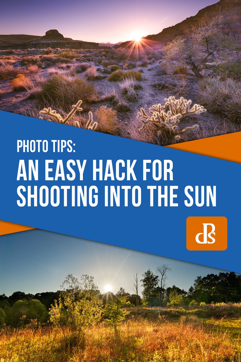 Master Shooting into the Sun: Easy Hack & Pro Image Processing Guide