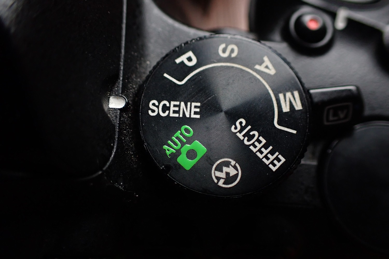 Master Camera Settings: The Ultimate Beginner s Guide