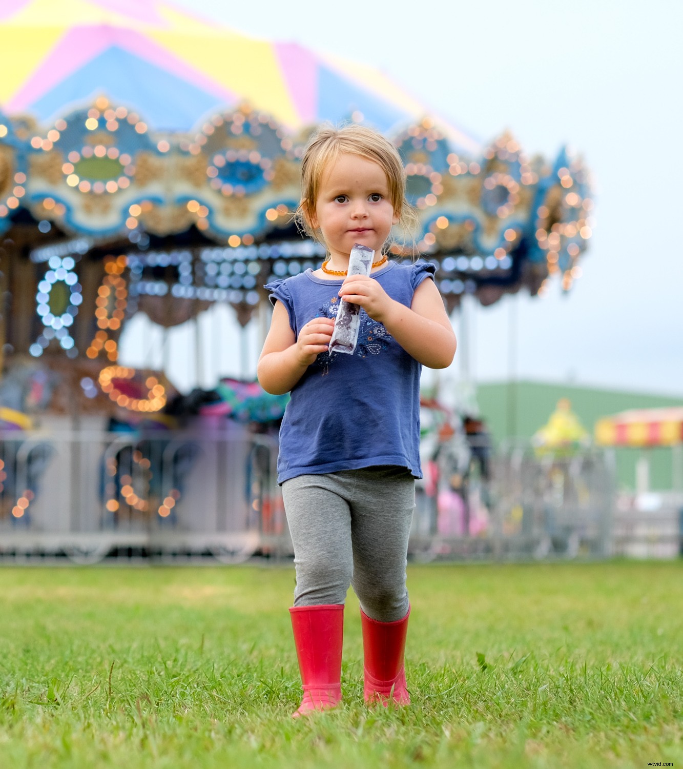 Master Camera Settings: The Ultimate Beginner s Guide