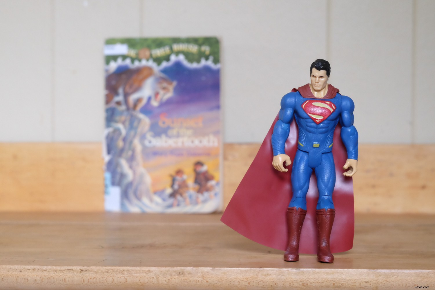 Master Camera Settings: The Ultimate Beginner s Guide