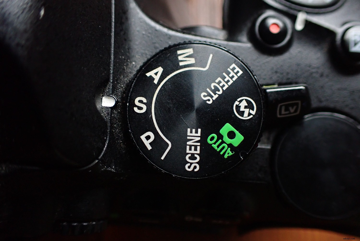 Master Camera Settings: The Ultimate Beginner s Guide