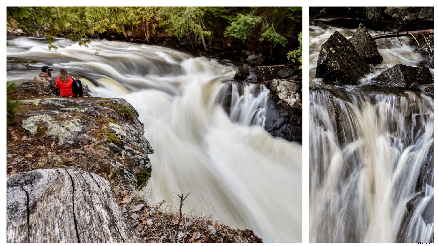 Master Camera Settings: The Ultimate Beginner s Guide