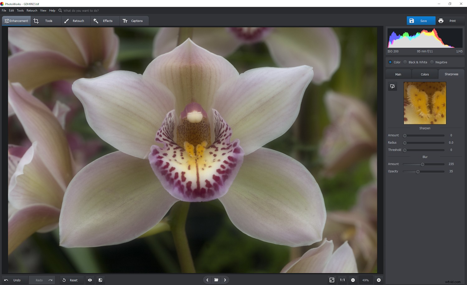 PhotoWorks Review: Fast, Intuitive PC Photo Editor with Pro-Level Retouching