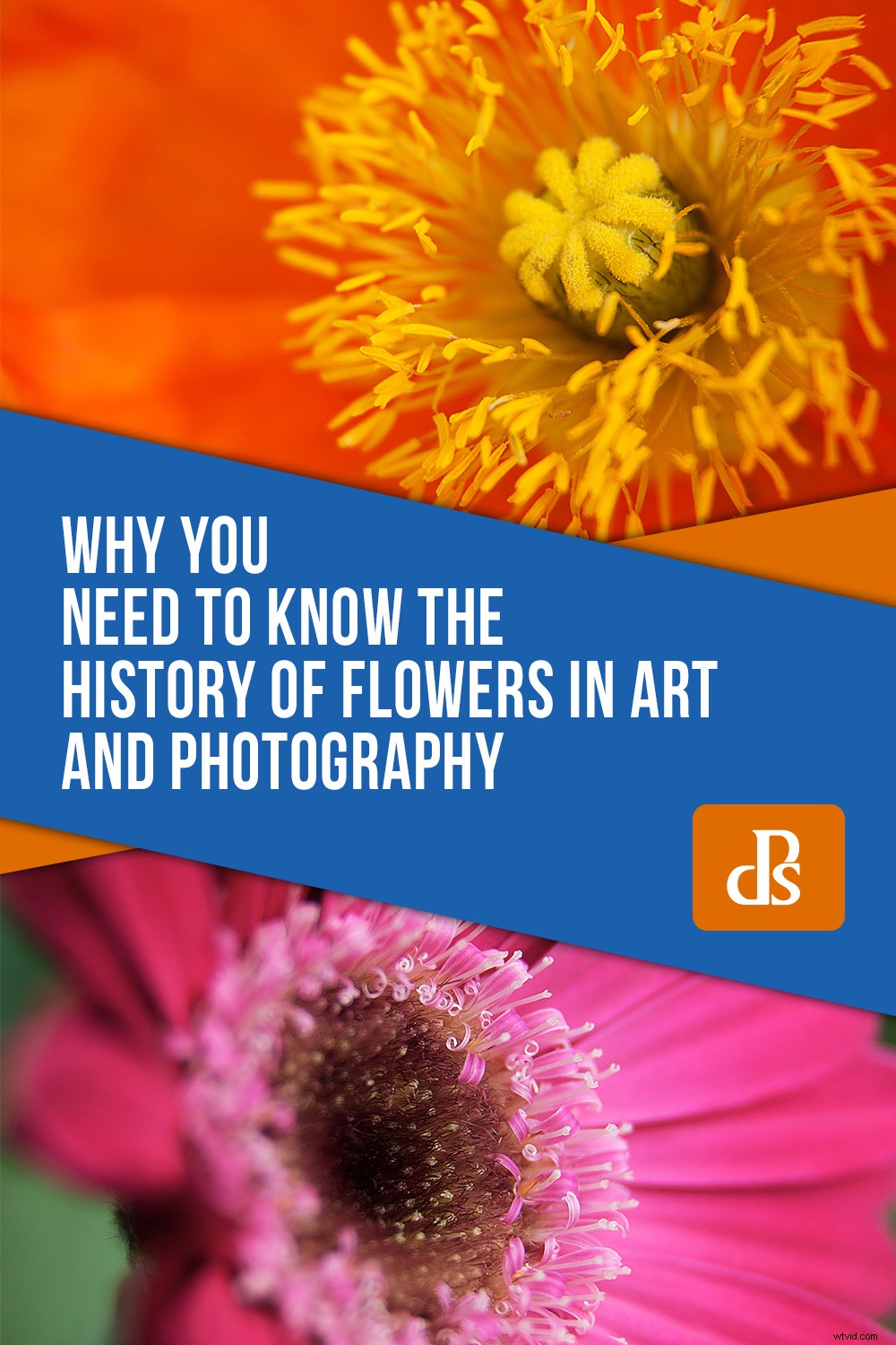 The Timeless Legacy of Flowers in Art and Photography: Historical Insights