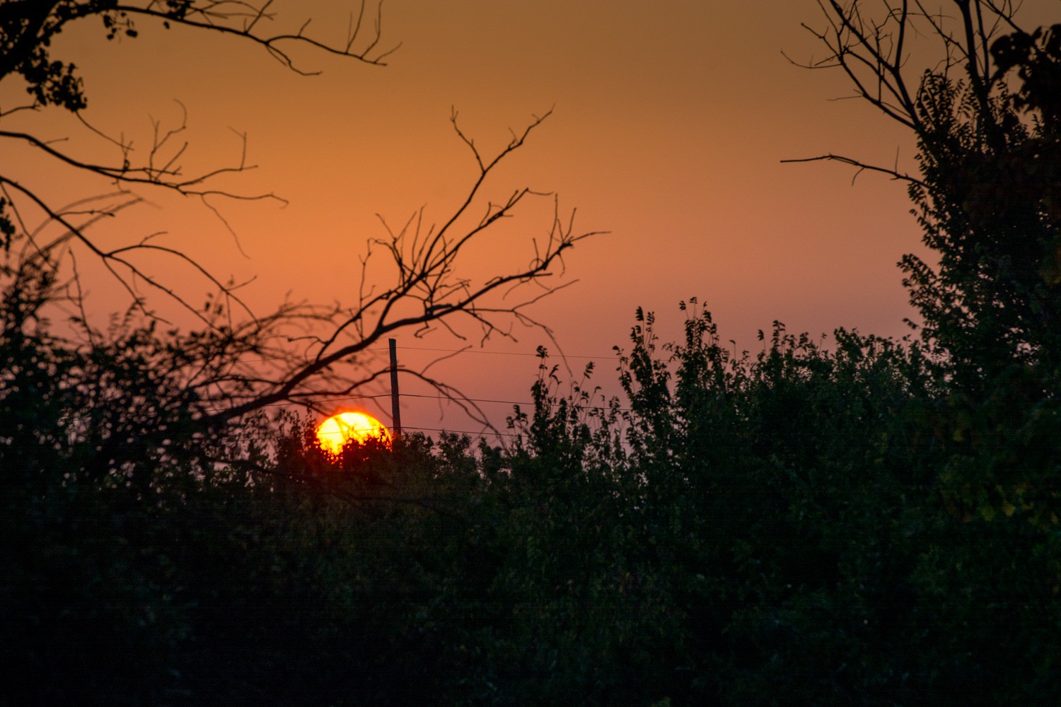 Capture Stunning Sunrise Photos: Pro Tips with a Zoom Lens