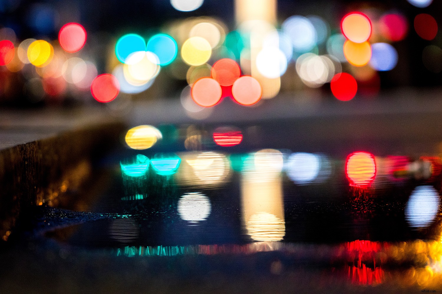 Weekly Photography Challenge: Capture the Beauty of Circles