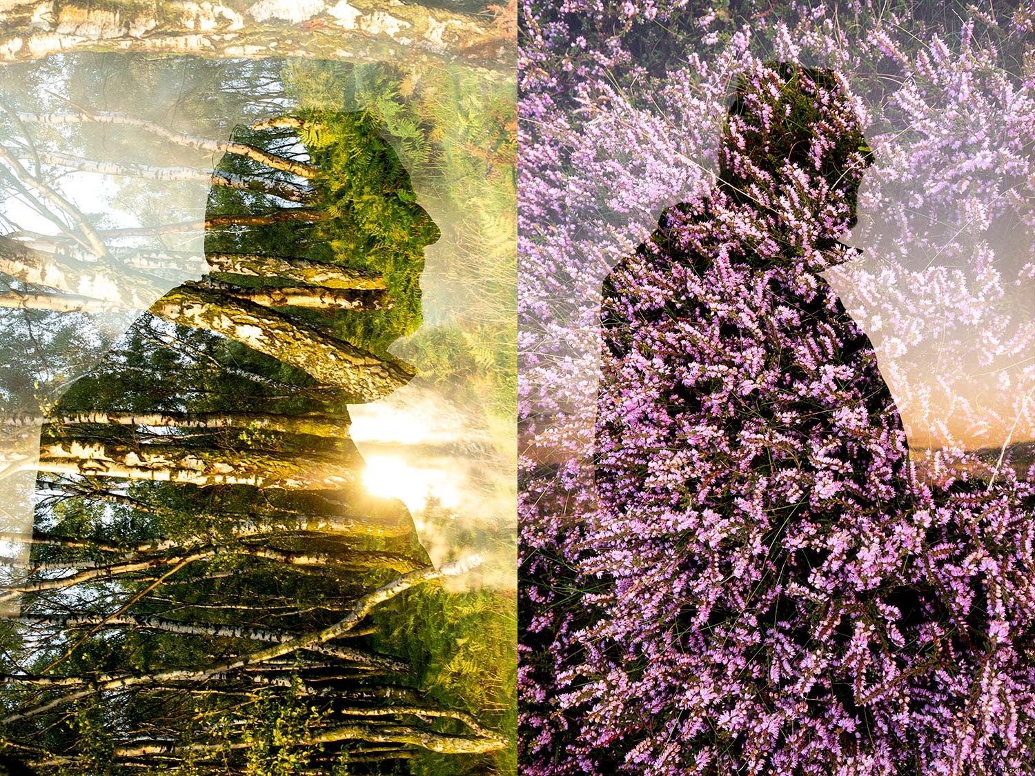 Master In-Camera Double Exposures: Expert Tips for Stunning Results