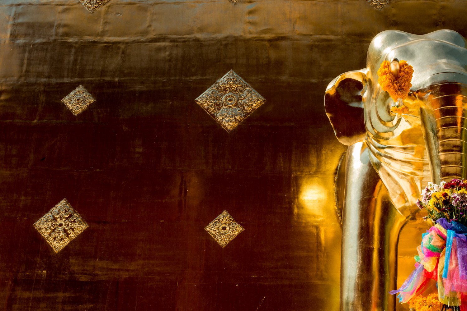 3 Proven Tips to Become a Unique and Successful Photographer