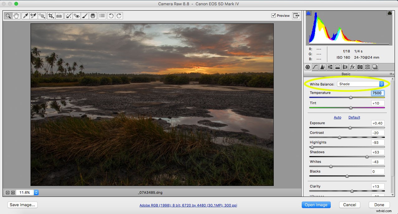 5 Essential Post-Processing Tips to Instantly Elevate Your Photos