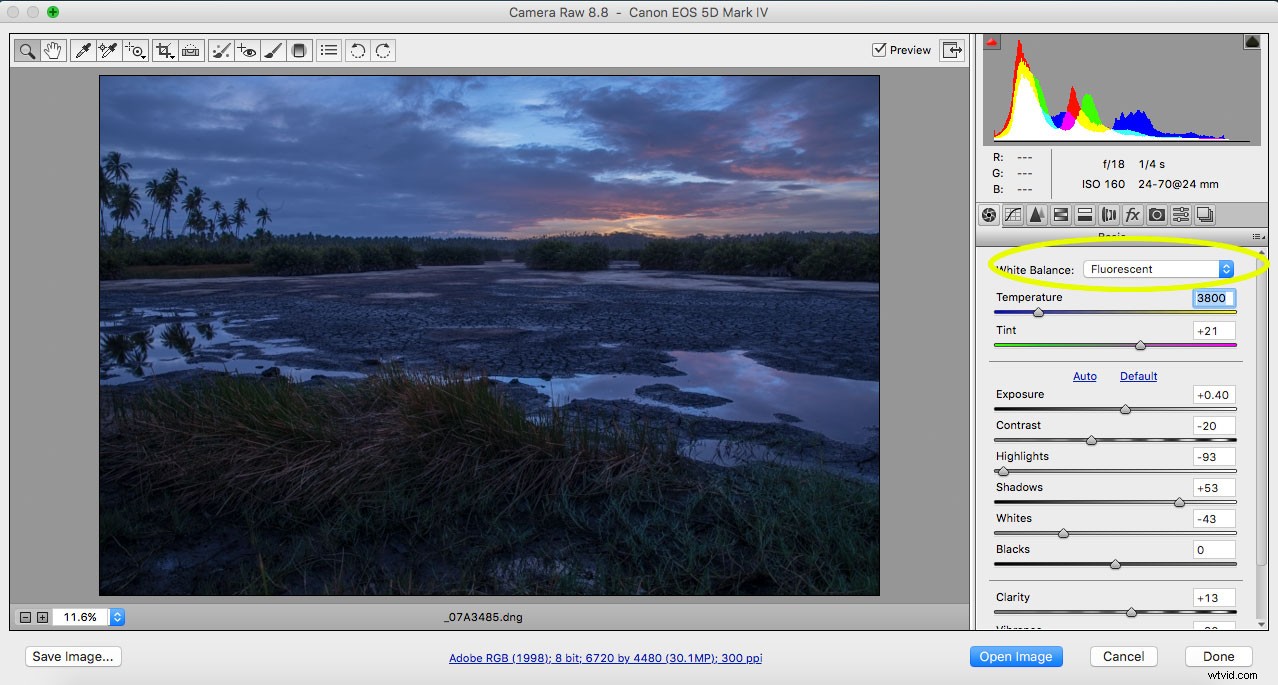 5 Essential Post-Processing Tips to Instantly Elevate Your Photos