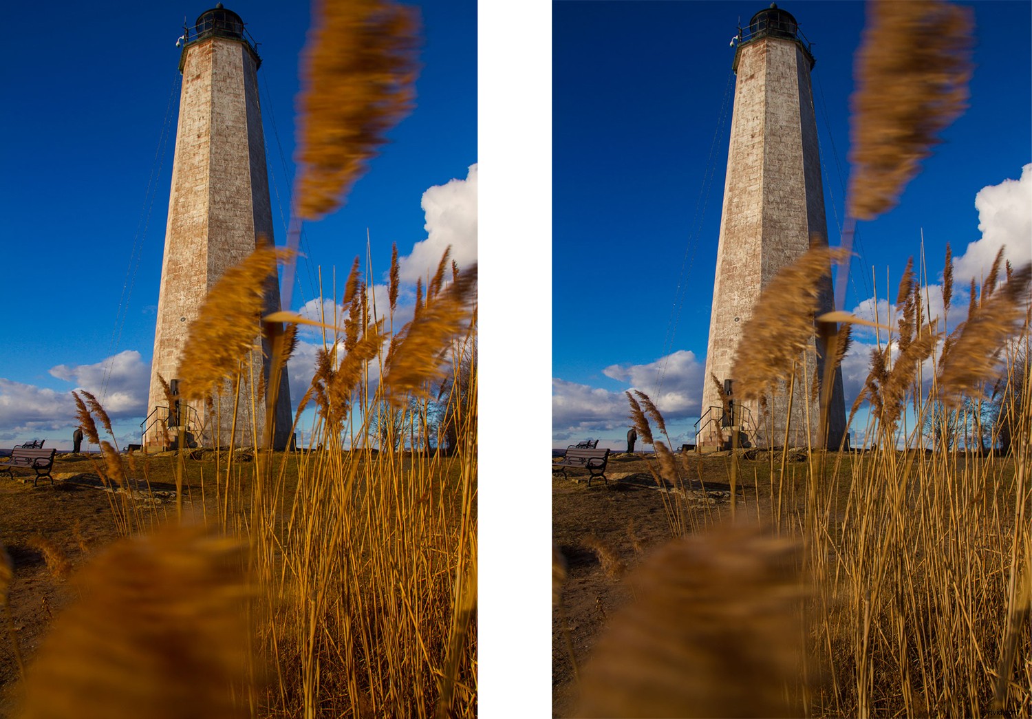 5 Essential Post-Processing Tips to Instantly Elevate Your Photos