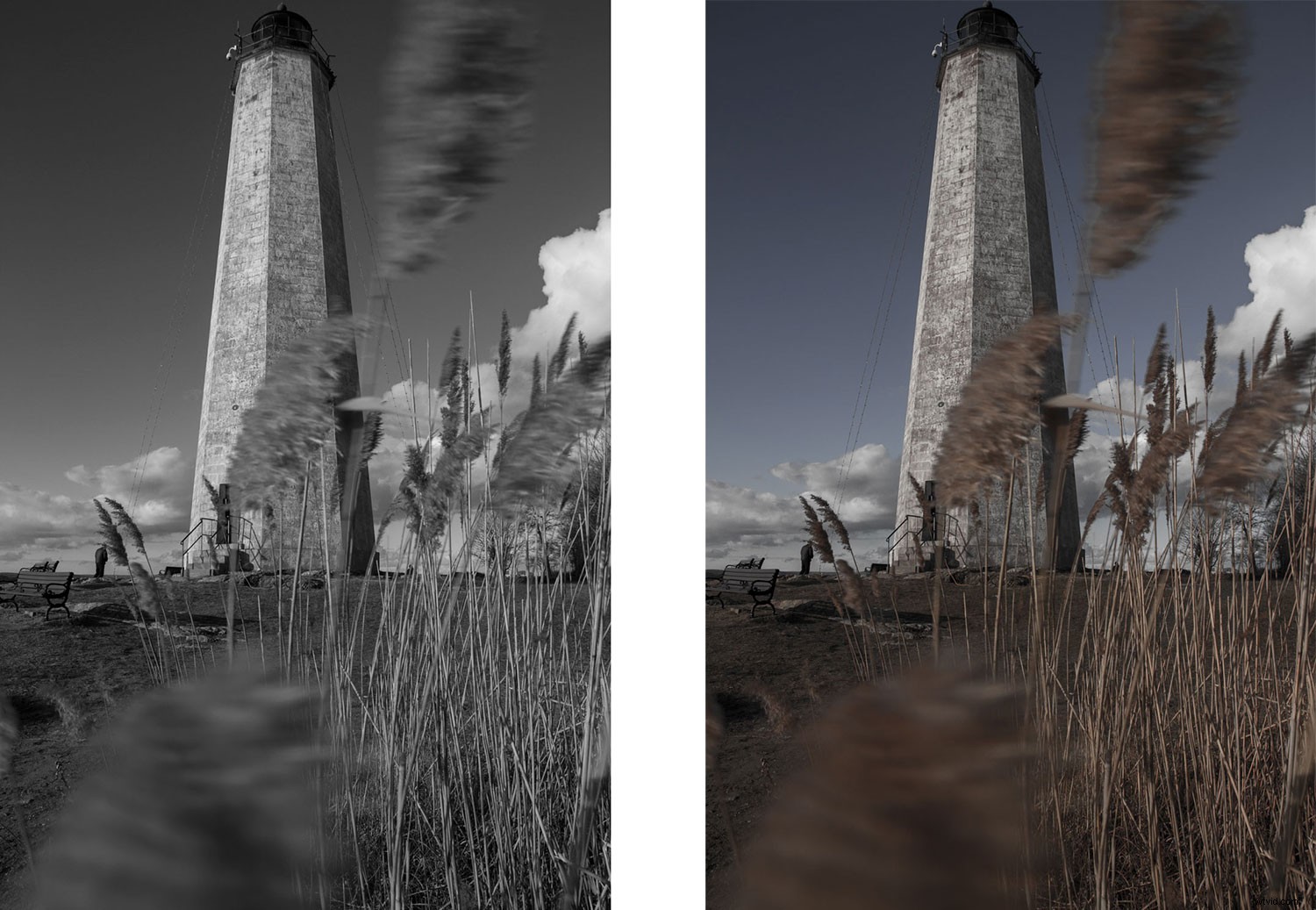 5 Essential Post-Processing Tips to Instantly Elevate Your Photos